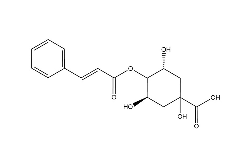 4-O-肉桂?？鼘幩醸5509-70-6